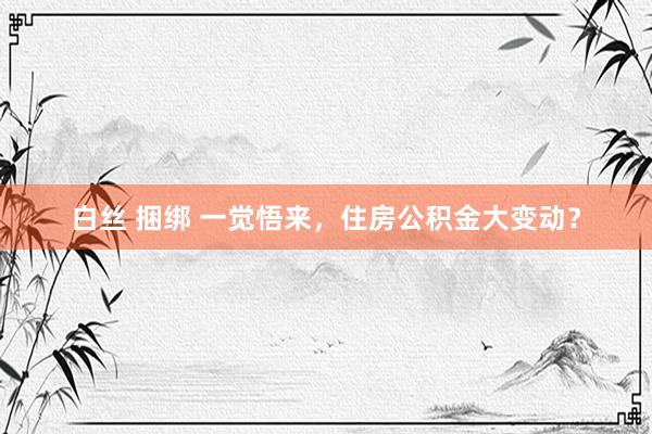 白丝 捆绑 一觉悟来，住房公积金大变动？