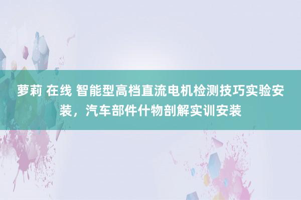 萝莉 在线 智能型高档直流电机检测技巧实验安装，汽车部件什物剖解实训安装