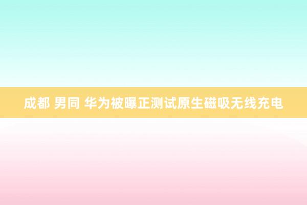 成都 男同 华为被曝正测试原生磁吸无线充电