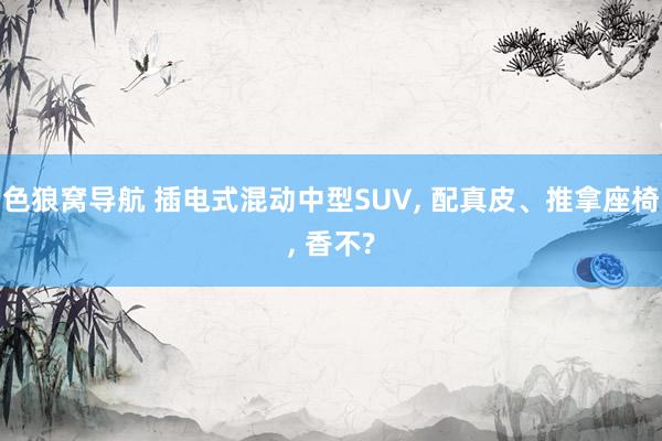 色狼窝导航 插电式混动中型SUV, 配真皮、推拿座椅, 香不?
