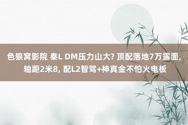 色狼窝影院 秦L DM压力山大? 顶配落地7万露面, 轴距2米8, 配L2智驾+神真金不怕火电板