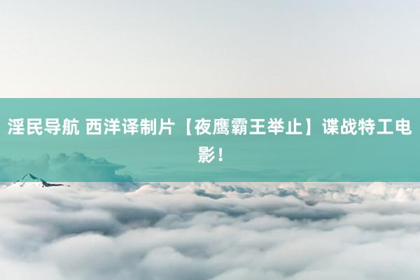 淫民导航 西洋译制片【夜鹰霸王举止】谍战特工电影！