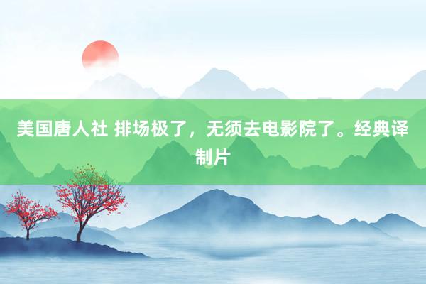 美国唐人社 排场极了，无须去电影院了。经典译制片